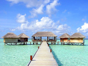 Отдых на ГОА от Happy Travel
